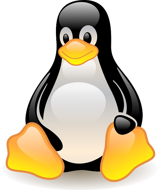 Linux Penguin